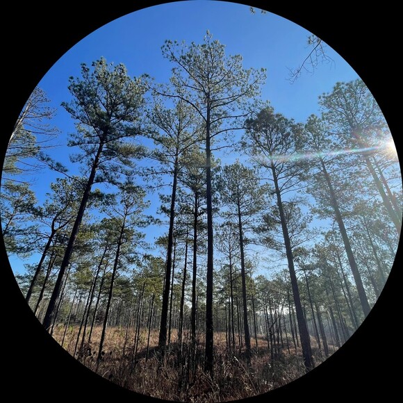 woodswoman271